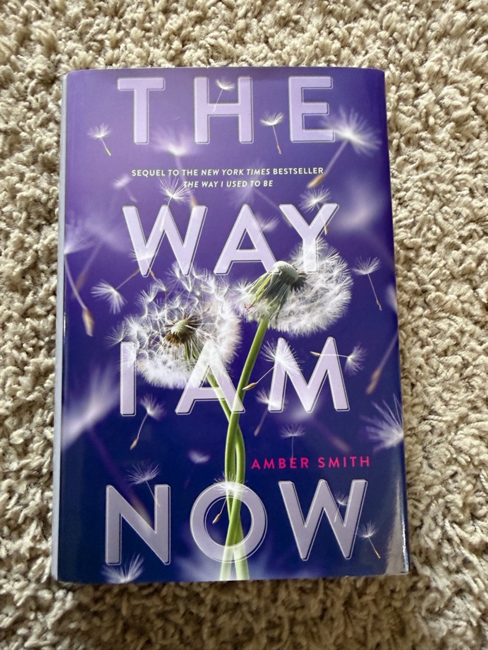 The Way I Used to Be & The Way I Am Now by Amber Smith (2-Book Series) - Picture 4 of 6